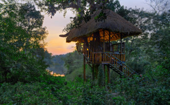 Coorg