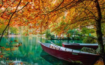 Autumn 2018