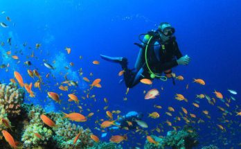 Scuba diving places in india