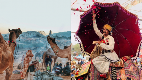 Pushkar Mela : a gorgeous mix of colours