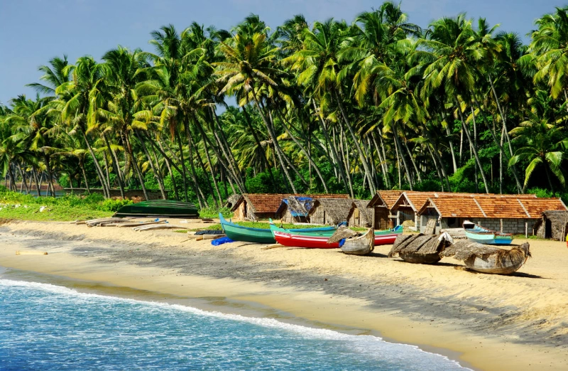 250 hotels are now open in goa | Goa tourism