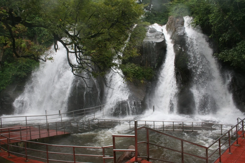 Top Tourist Places to Visit at Tirunelveli- Ngtraveller