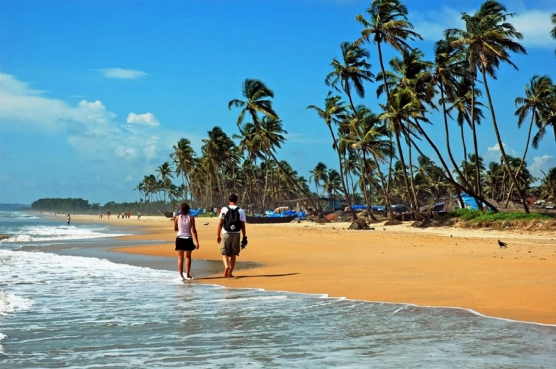 Best Beaches in Goa for Families to Enjoy Tropical State