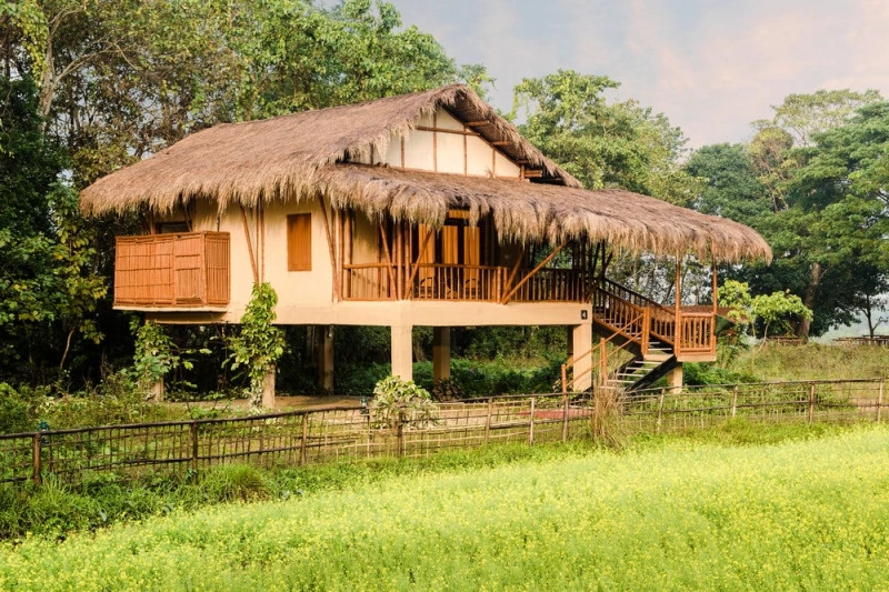5 Places to Stay in Kaziranga National Park- Ngtraveller