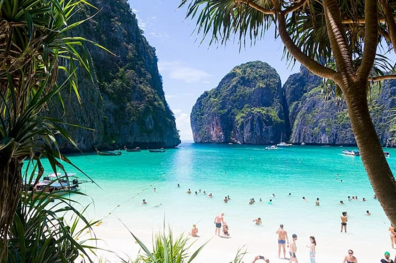 Thailand has allowed tourists to return Maya Bay after three years