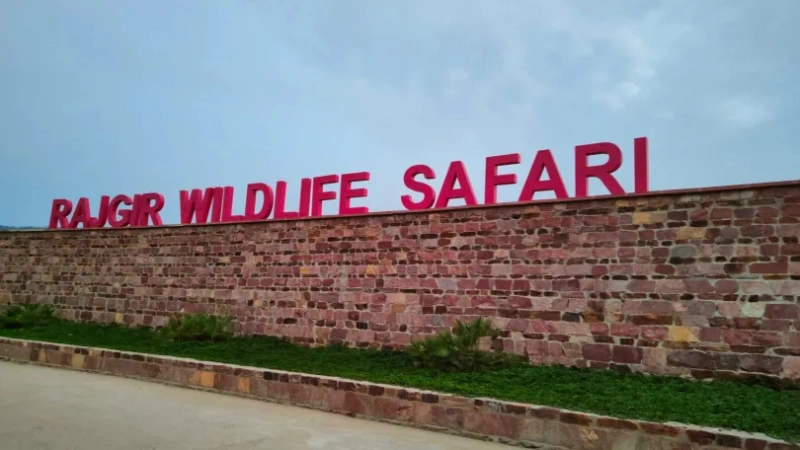 Visit Rajgir Zoo Safari- All you Need to Know about Tickets, Cost, and Entry Timing