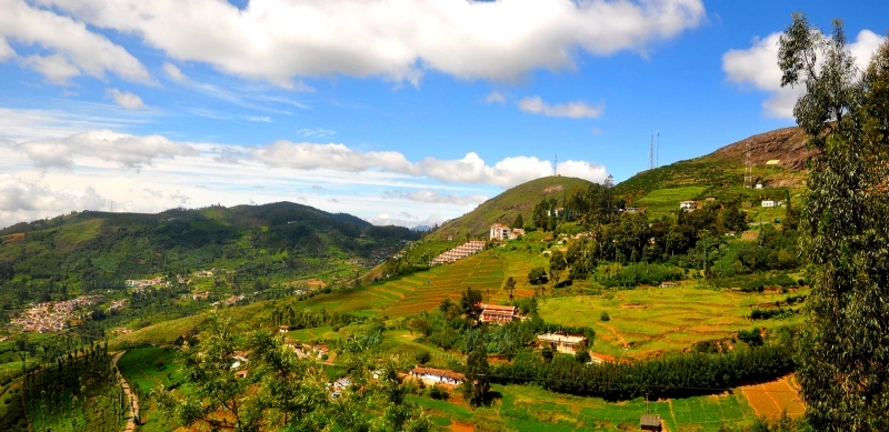 Summer Hill Stations in India: The Ultimate Escapes to Beat the Heat