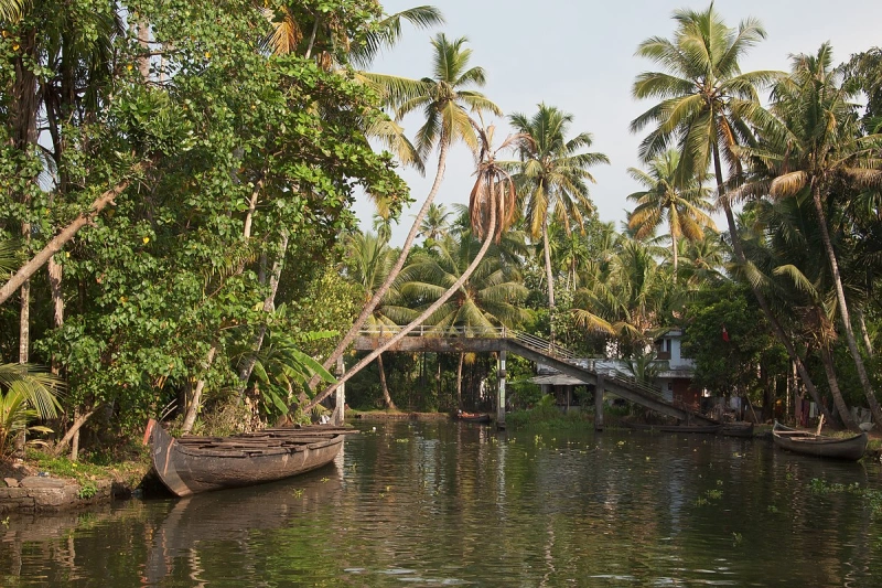 Kerala Backwaters in November: Serene Houseboat Stays & Monsoon Retreats