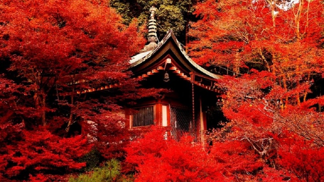 Top 6 places you must visit in Kyoto,Japan