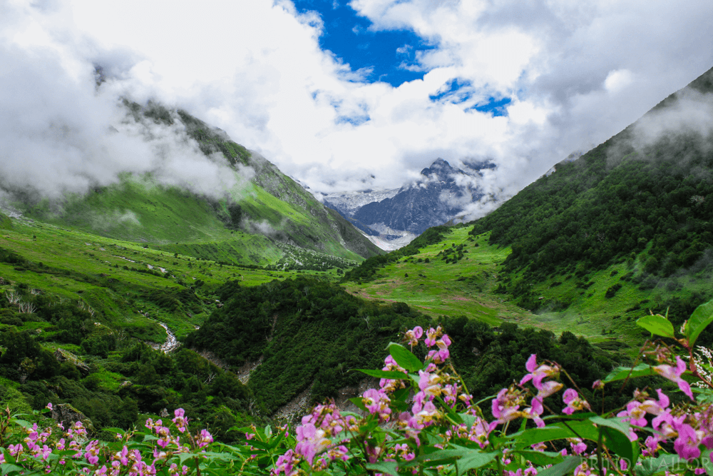 Top 5 National Parks of India - Exploring should never stop